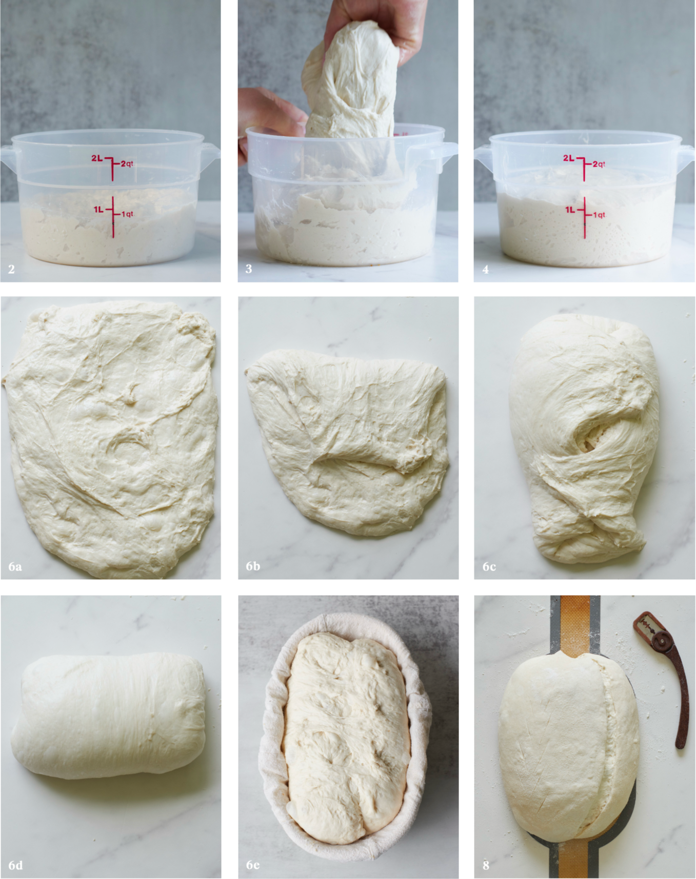 Step-by-step process of sourdough bread dough preparation and rising shown in a collage for same day sourdough cookbook. 
